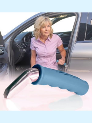 Auto Cane, Vehicle Support