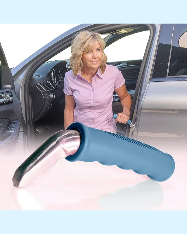 Auto Cane, Vehicle Support